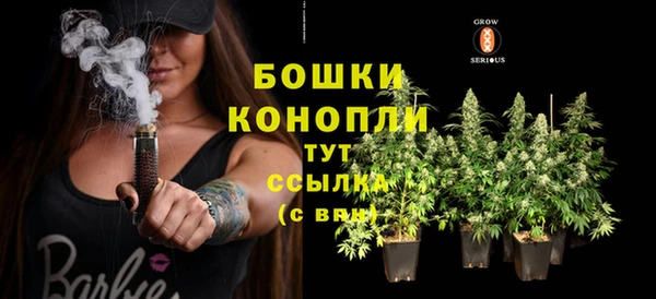 дурь Лиски