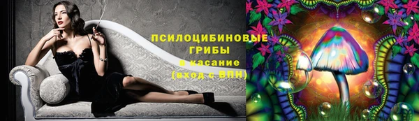 Альфа ПВП Липки