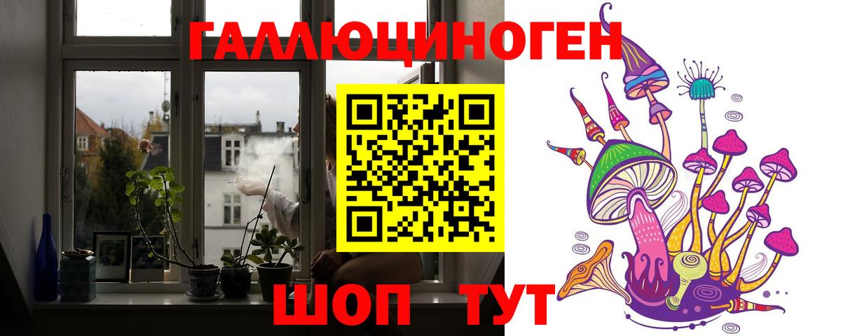 даркнет сайт  Галлюциногенные грибы прущие грибы  Клинцы  Вход с VPN  Галлюциногенные грибы ЛСД 